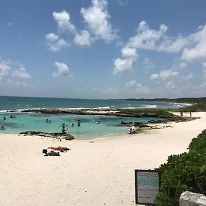 playaturquesa-moderna-casa-c-r-auto-a-9-min-5ta-ave.tulum-hotels.net/